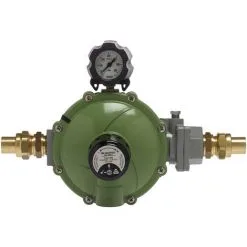 Détendeur Propane Réglable - 8-35kg/h - M 3/4"avec Manomètre Et Bonnette - Favex