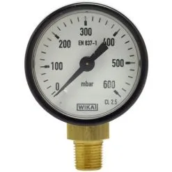 Manomètre 0-600 Mbar - Raccord Vertical Mâle 10x100 - Favex