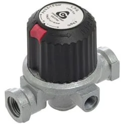 Détendeur Haute Pression Réglable Propane 4 Kg/h - E/S Femelle 1/4 - Favex